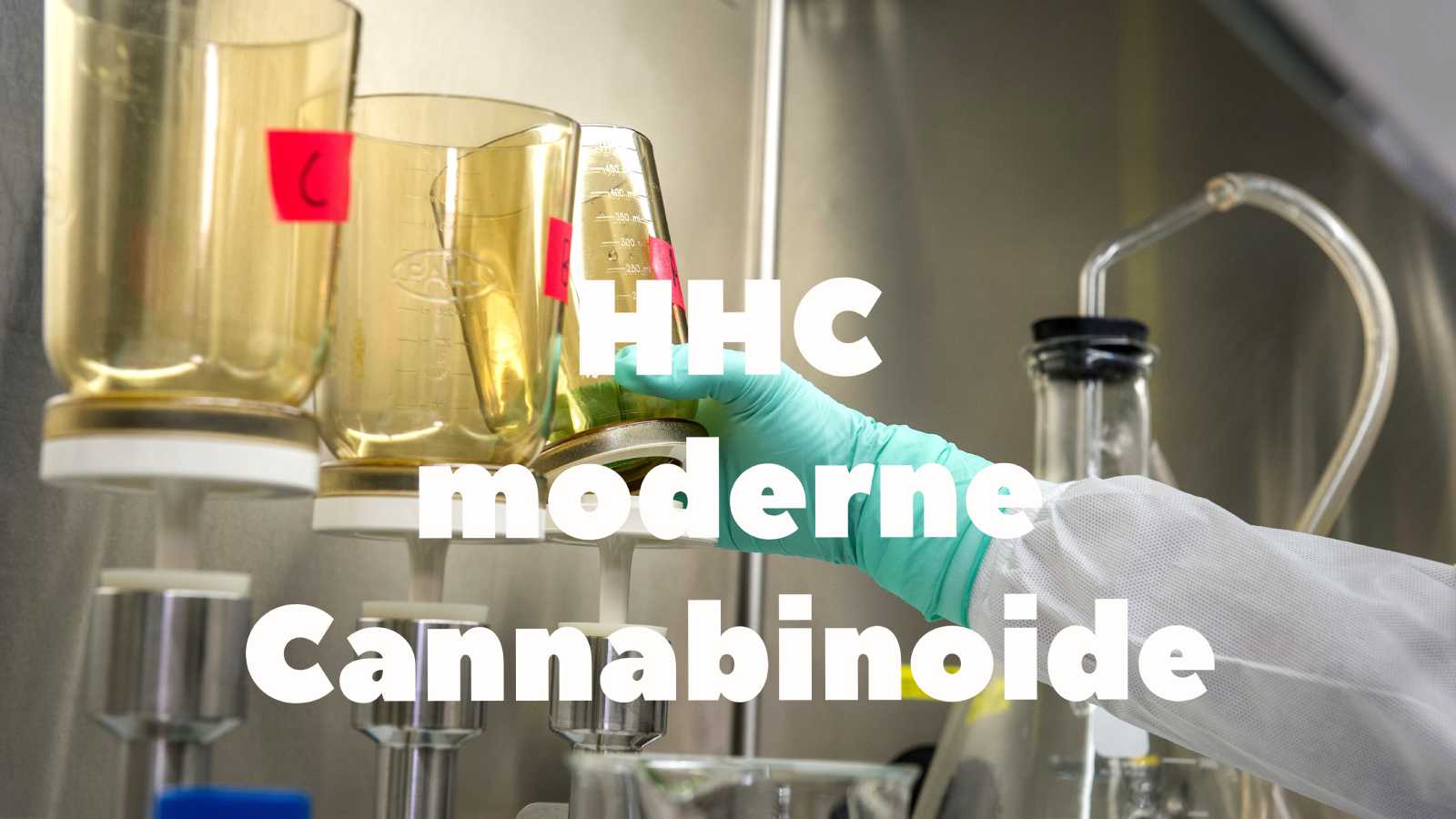 Die neue Welt legaler Cannabinoide in Deutschland